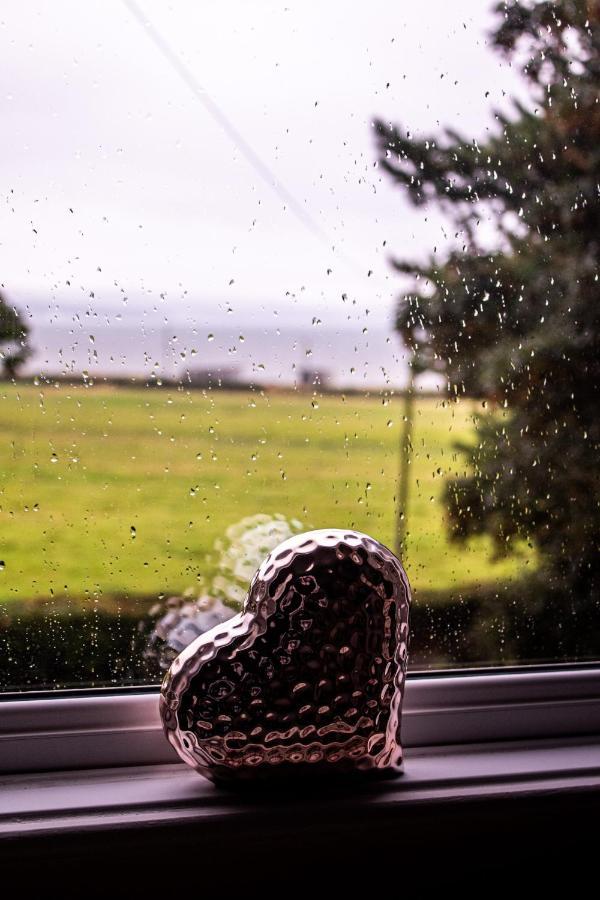 Balyett Farmhouse B&B Stranraer Dış mekan fotoğraf
